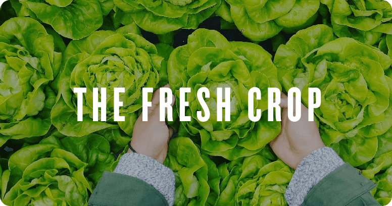 Spano's The Fresh Crop